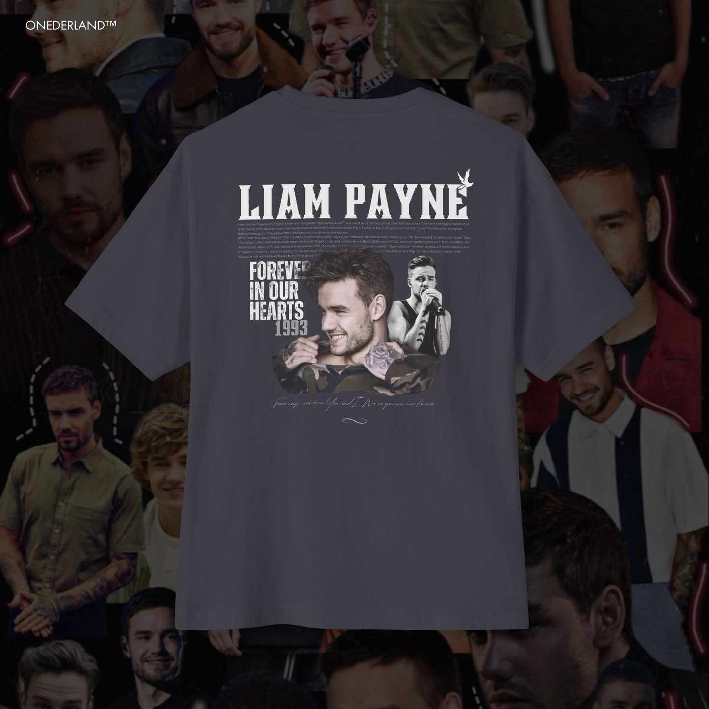 Liam Payne Tribute T-shirt ( Oversized )