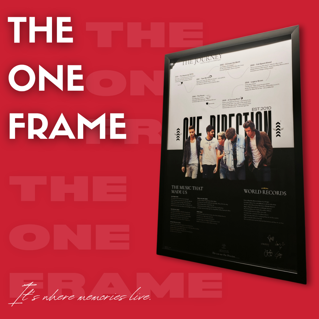 THE ONE FRAME ( Original Digital File )